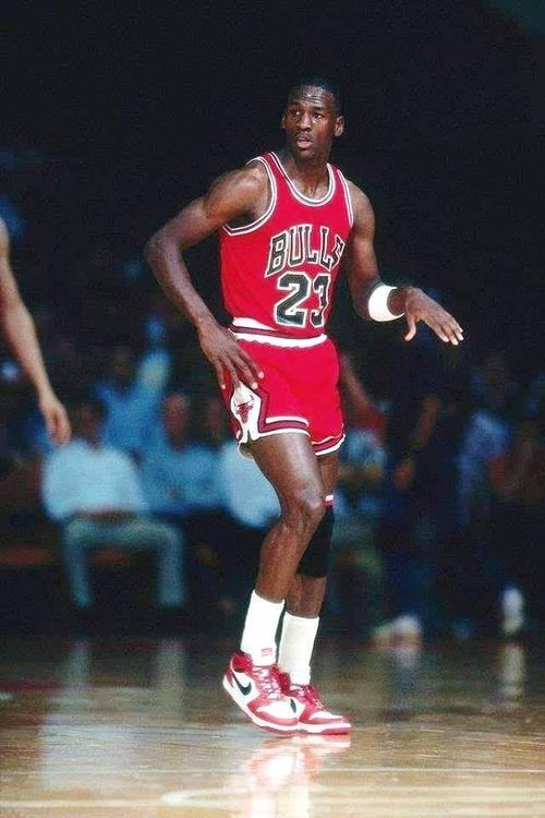 他们展现出 他们展现出