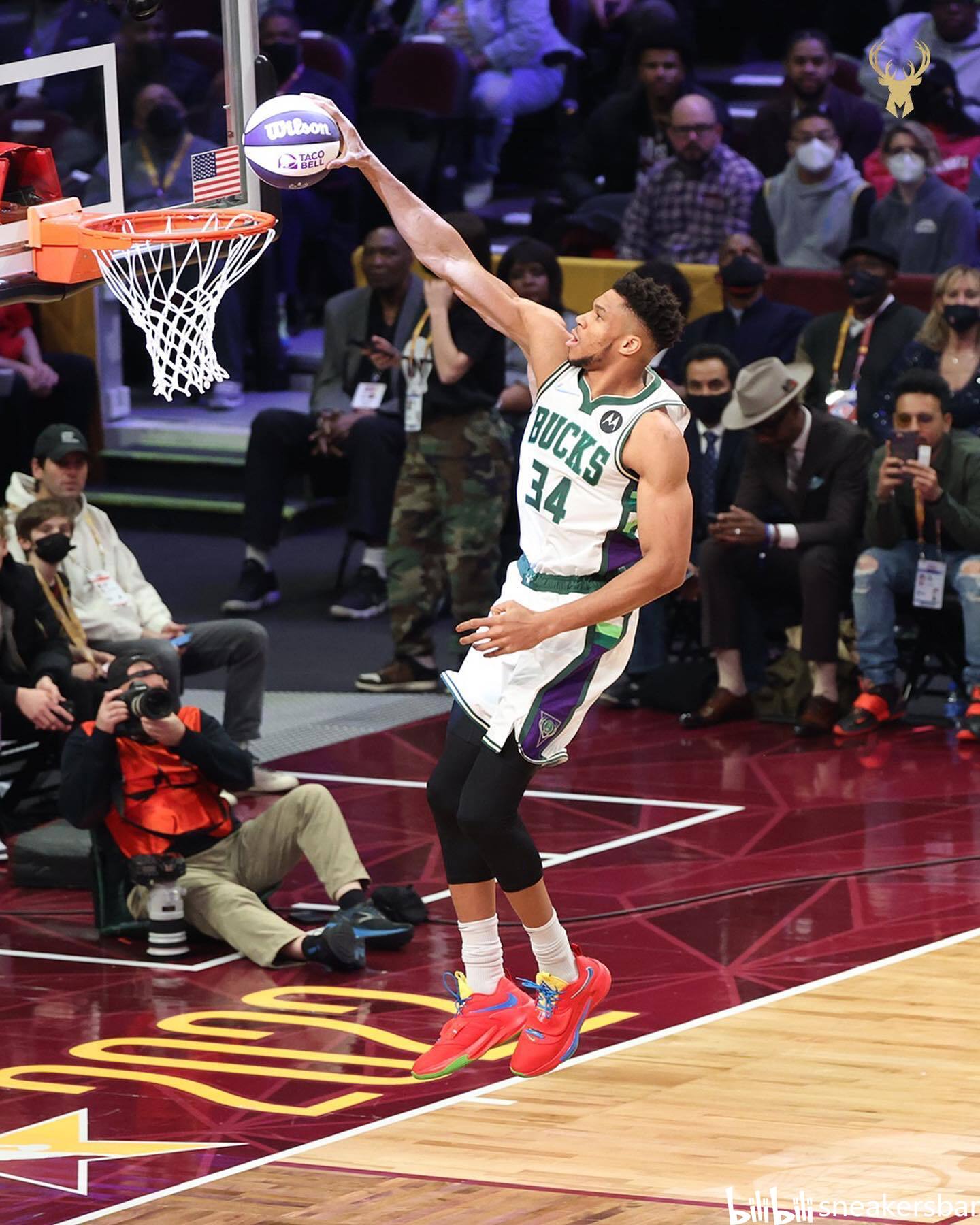 的新面孔 的新面孔