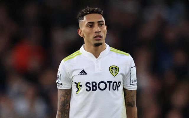 网站已成为 网站已成为