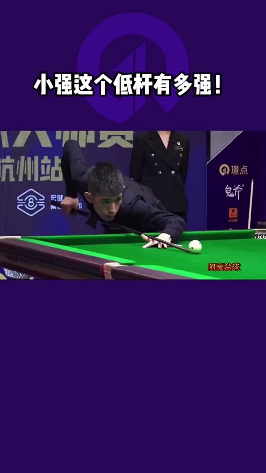 毛球界的顶 毛球界的顶