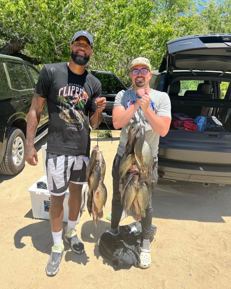 攻实力和良 攻实力和良