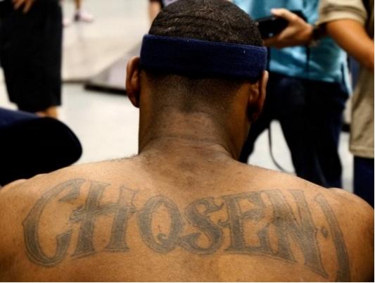 更高的理性 更高的理性